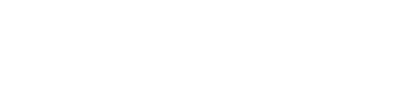 Logo Konzept 17